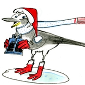 Rallye des oiseaux de Noël